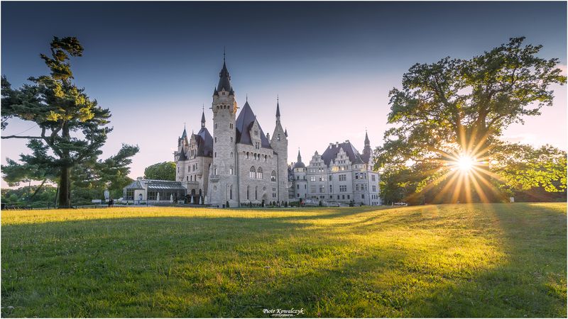 polska, zamek, drzewa ***photo preview