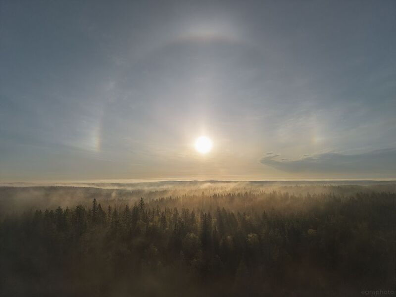 ленинградская область, россия, туман, хийси Хийсиphoto preview