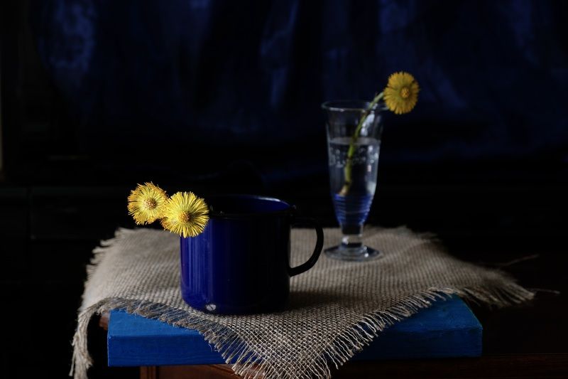 Still life, Flowers, Blue, Colors, Mood, Yellow, Цветок Мать-и-мачеха, Просто Мать-и-мачехаphoto preview