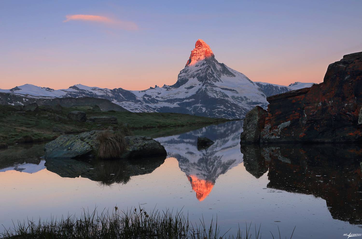 swiss, Матвеев Николай
