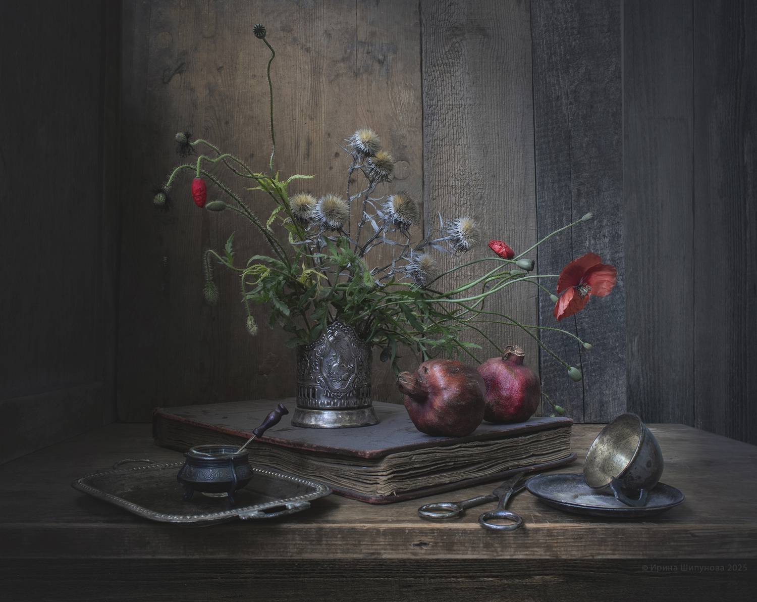 , Шипунова Ирина