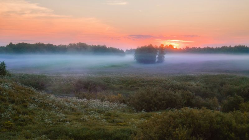 туман деревня утро пейзаж восход Раннее утро фото превью
