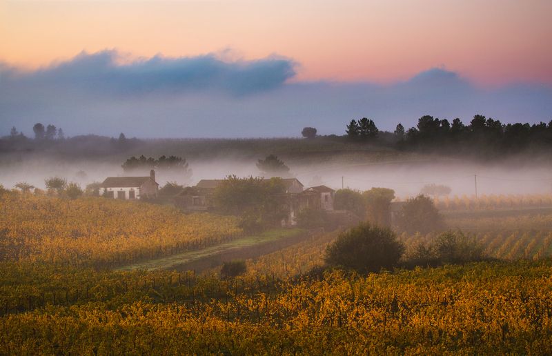 туман деревня утро пейзаж восход Раннее утро фото превью