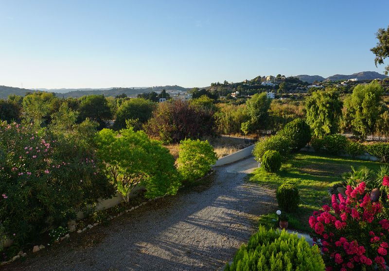 греческие мотивыphoto preview