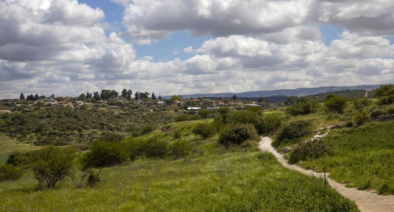 весна в израиле *****photo preview