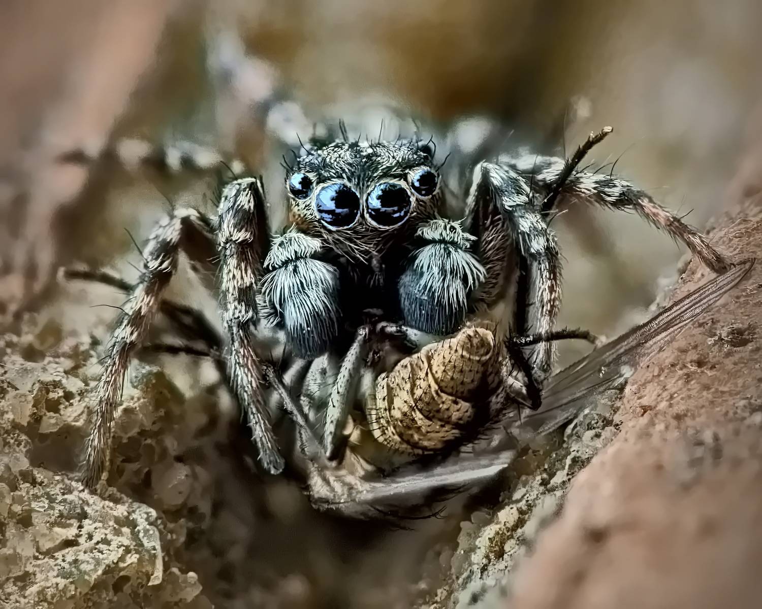 После охоты. Автор: Кузнецов Дмитрий , Кузнецов Дмитрий