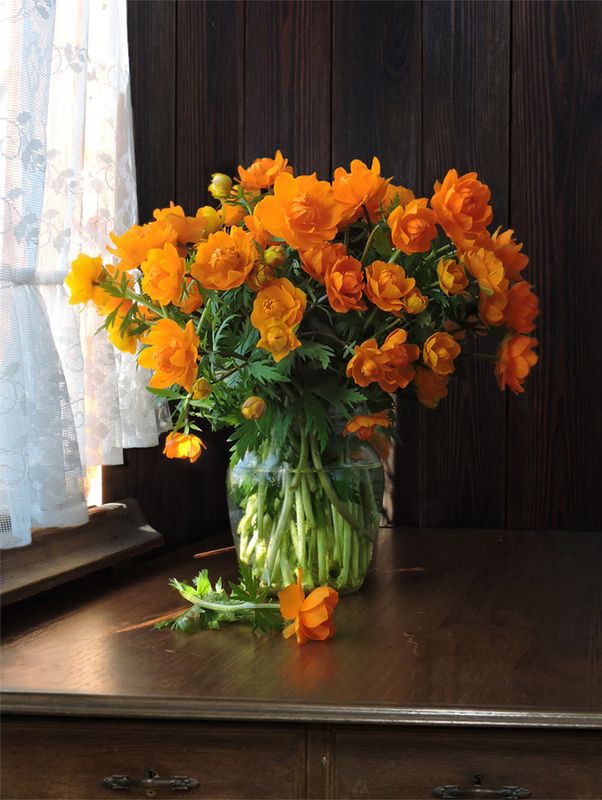 Огонькиphoto preview