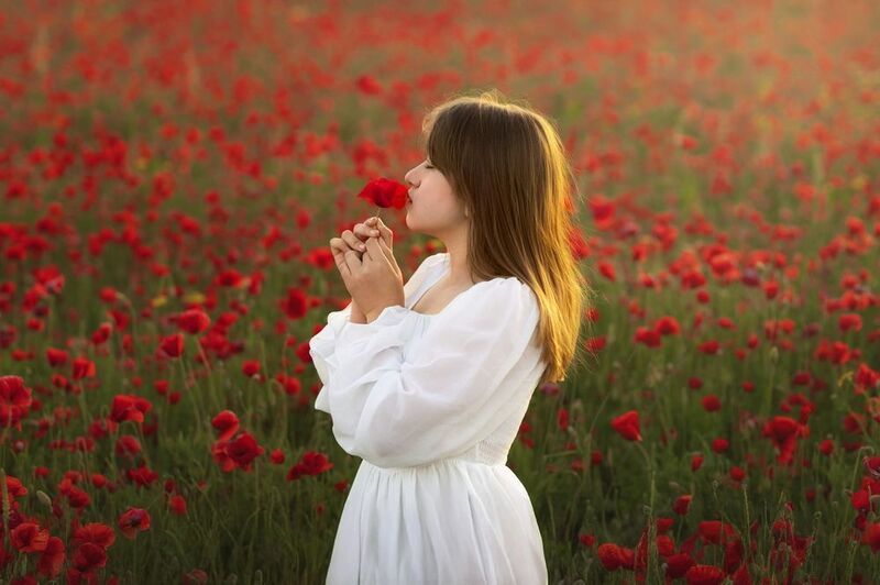 Into the airphoto preview