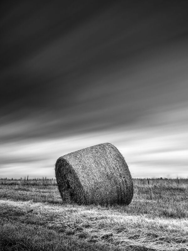 Untitledphoto preview