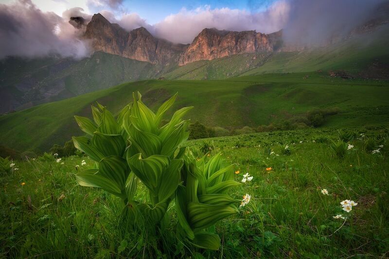 перевал Актопрак.photo preview