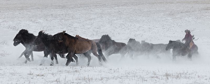 Ancient Mongolian Warrior Ancient Mongolian Warriorphoto preview