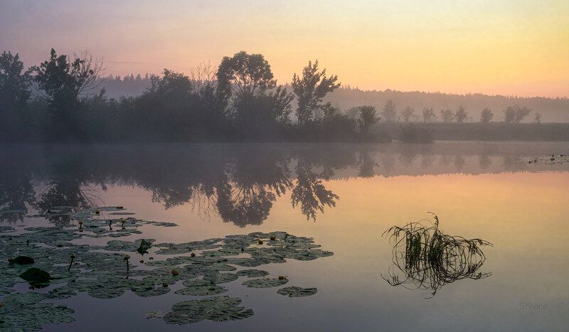 лето озеро рассвет туман природа пейзаж Тихо перед восходом.photo preview