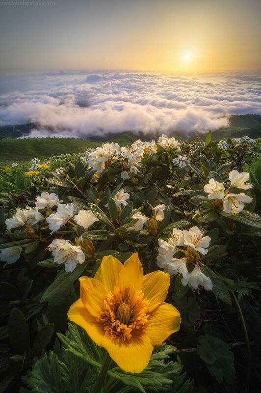 тхач, большой тхач, фототур, яковлевфототур, кавказ, адыгея Большой Тхачphoto preview