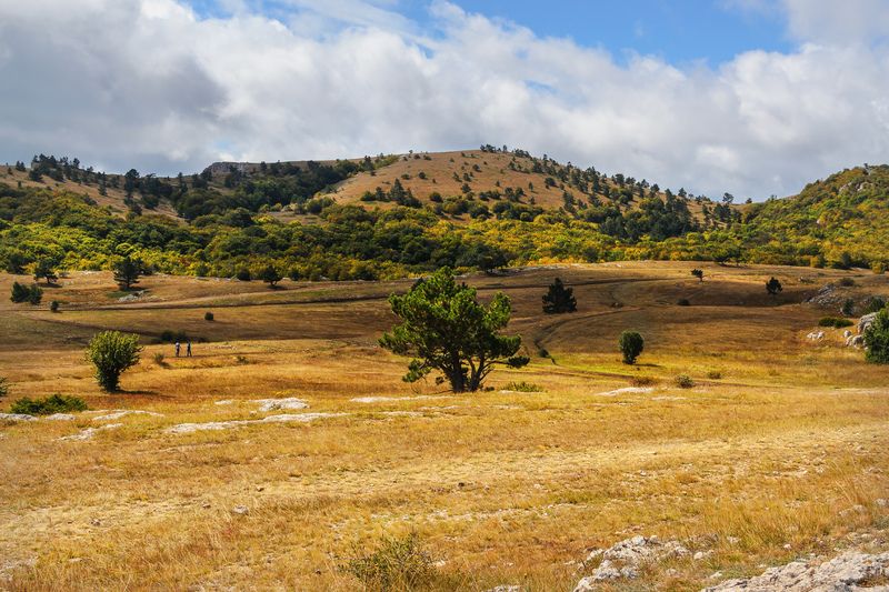 Осень на плато Ай-Петри.photo preview