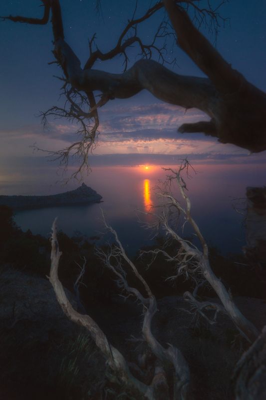 Клубничная лунаphoto preview