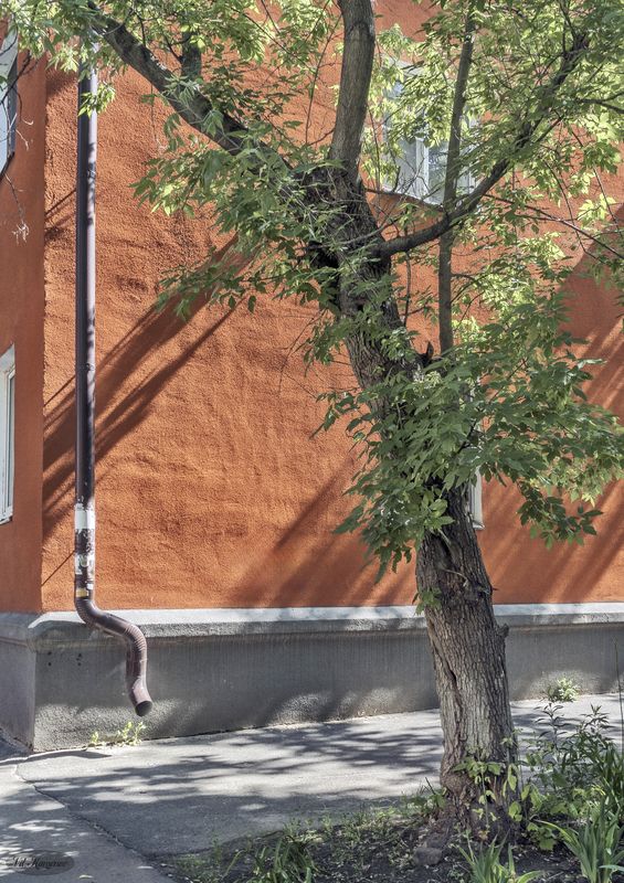 Утро.photo preview