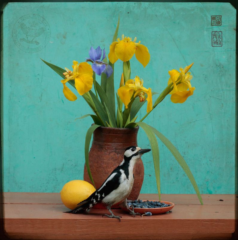 Натюрморт с ягодами жимолостиphoto preview