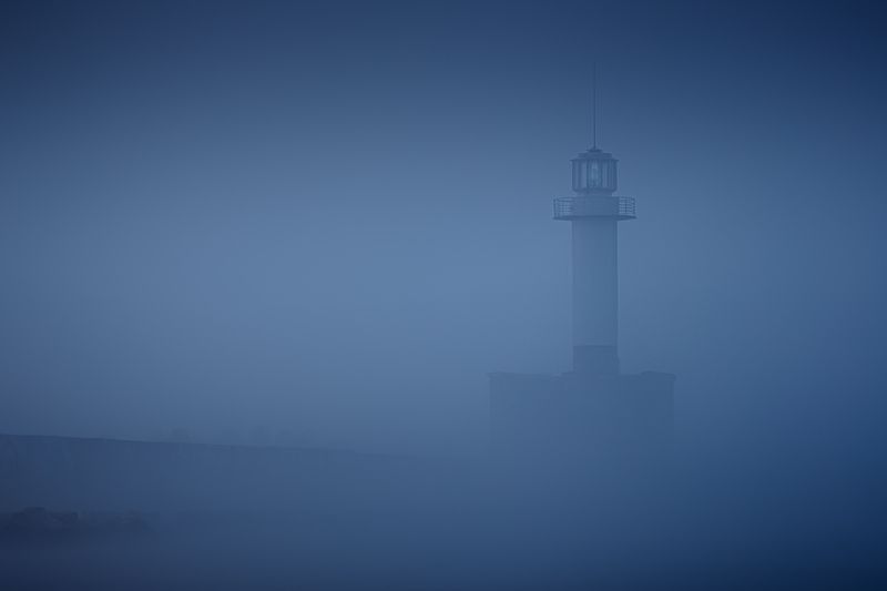 2024-11-08photo preview