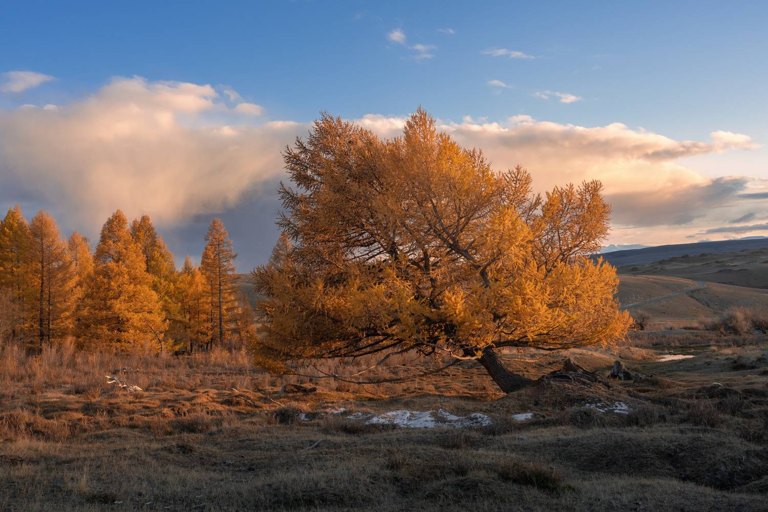 , Мозжухин Максим