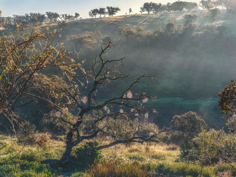 Рассвет фото превью