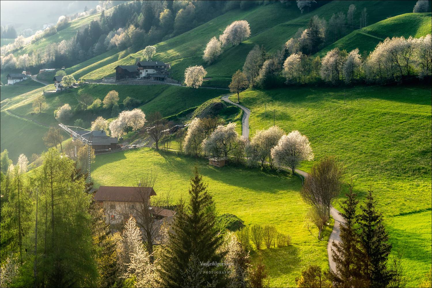 доломитовые альпы,santa maddalena,деревня,val di funes,весна,odle,италия,alps,ranui,san giovanni,церквушка,hills,mountain, Гори Василий