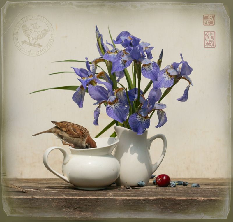 Тёплый ветерphoto preview