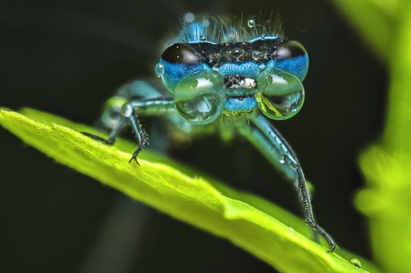 With glassesphoto preview