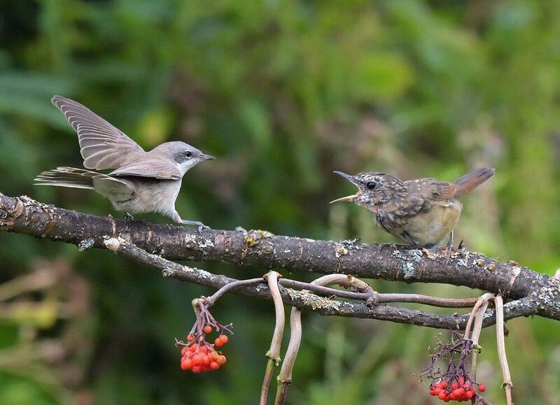 Конфликт на ровном местеphoto preview