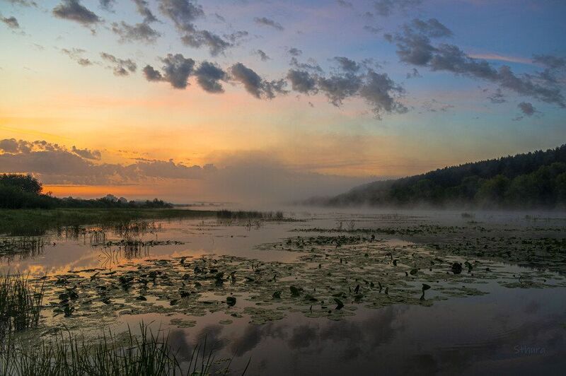 лето озеро рассвет облака отражение природа пейзаж Летний рассвет.photo preview
