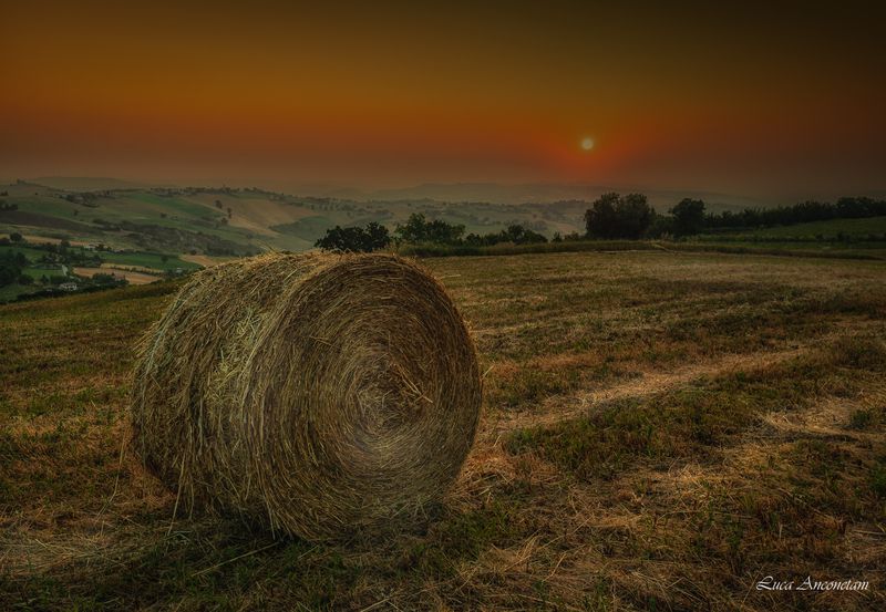 dawn nature landscape fields italy rural sunrise marche region Waiting for the dawn фото превью