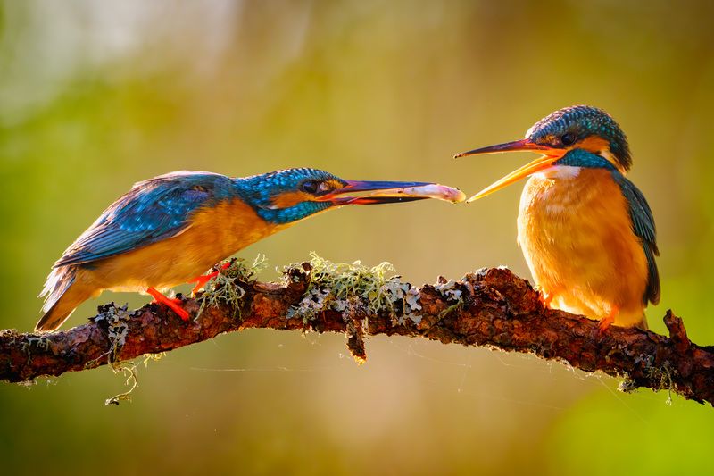 Любишь кататься... фото превью