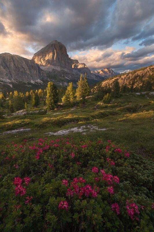 Passo Falzaregophoto preview