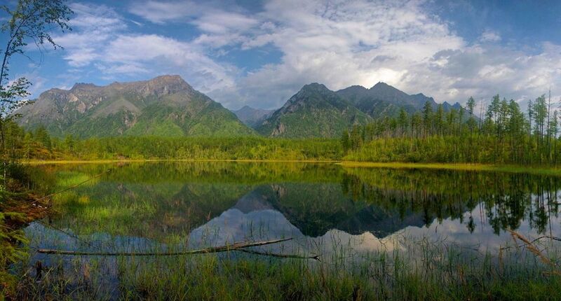 Кодарphoto preview