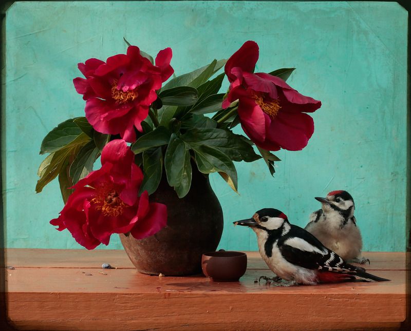 Отцы и дети 6photo preview