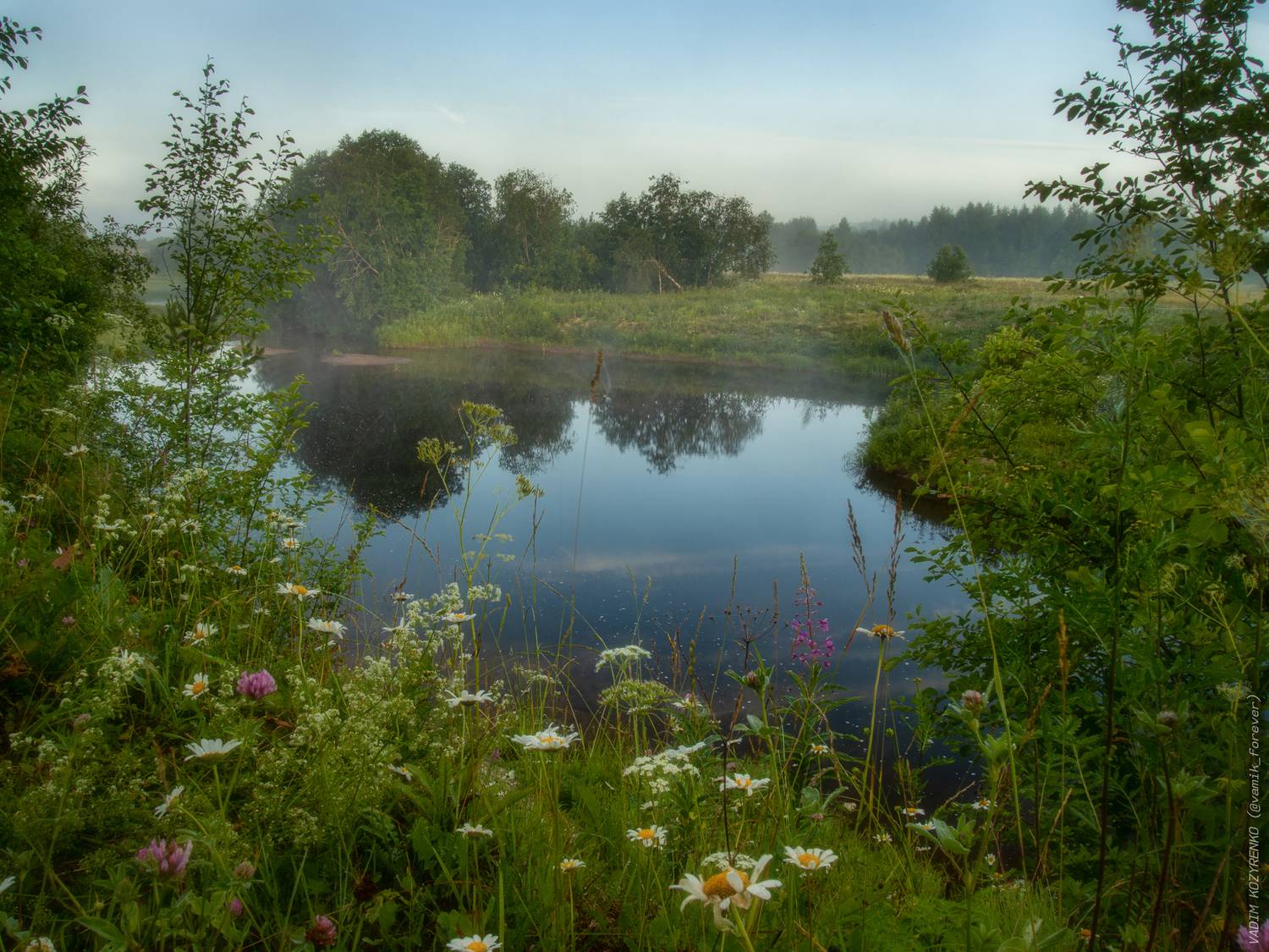 лето, север, череновская, устьянский район, архангельская область, русский север, Вадим Козыренко