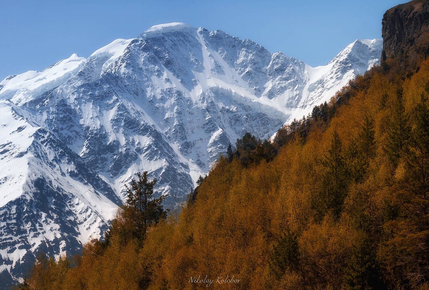 , Колобов Николай