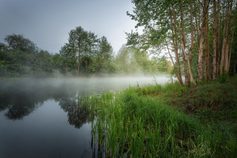 река утро туман р. Осовец фото превью