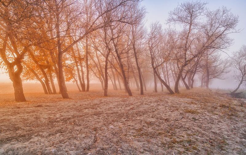Россия, пейзаж, туман, природа, рассвет, Тобол, Курган Утро туманное на берегу рекиphoto preview