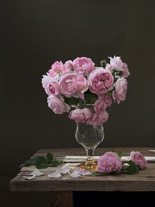 Розовая нежностьphoto preview