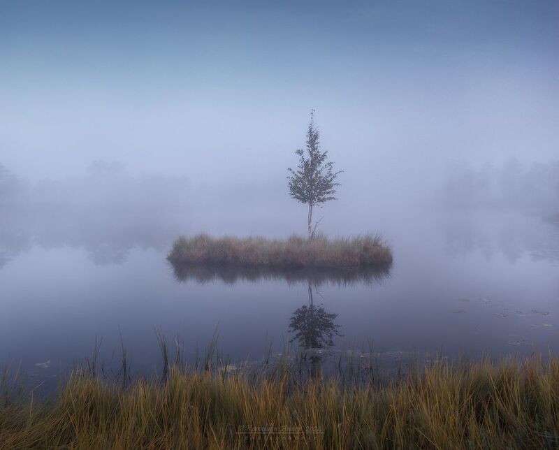 ... ленивое летнее утро ...photo preview