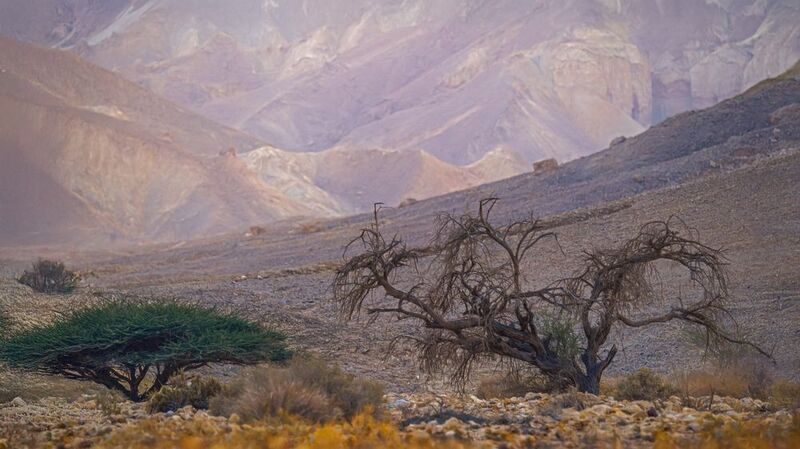 Жизнь без воды фото превью