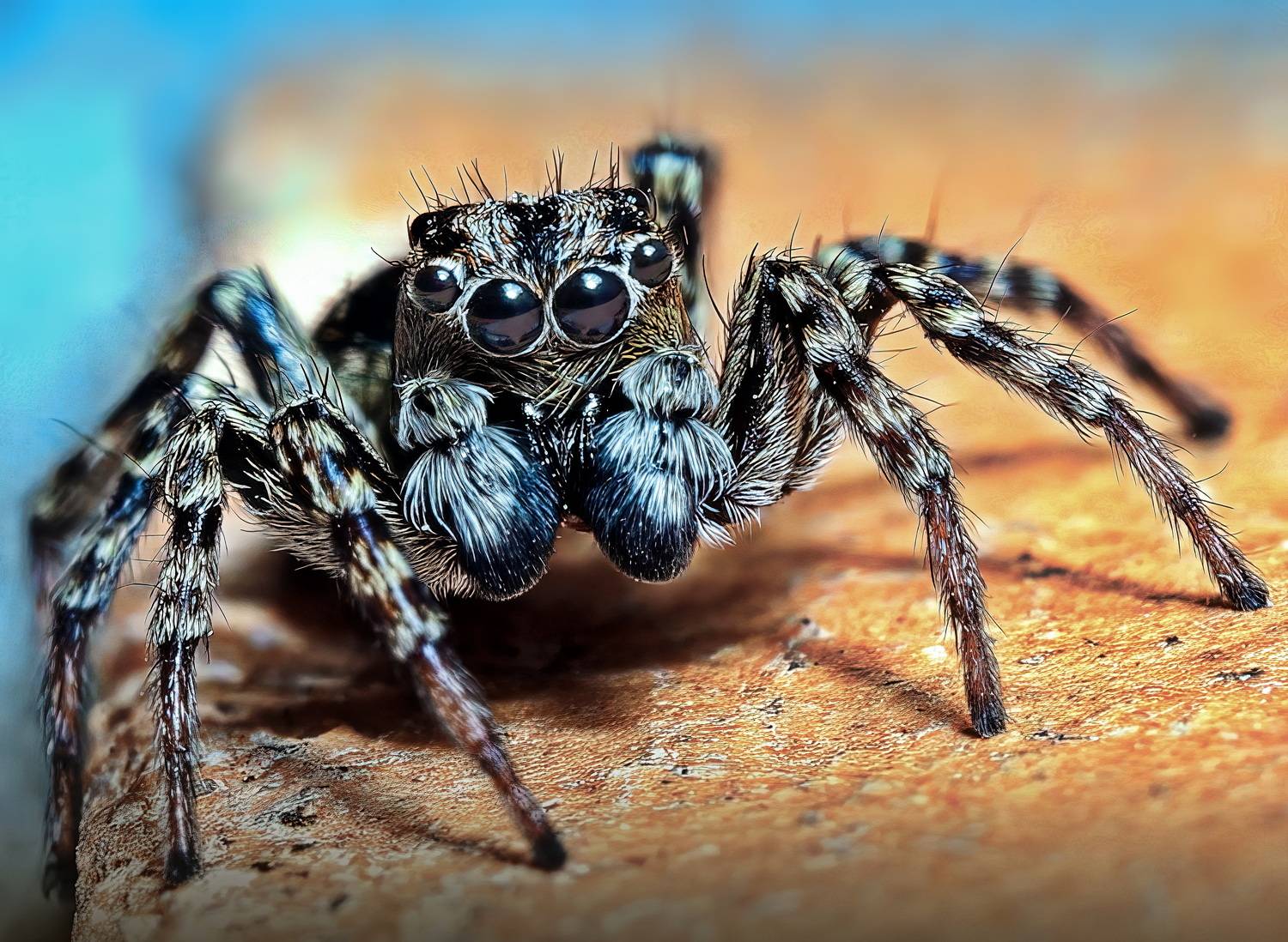 , Кузнецов Дмитрий