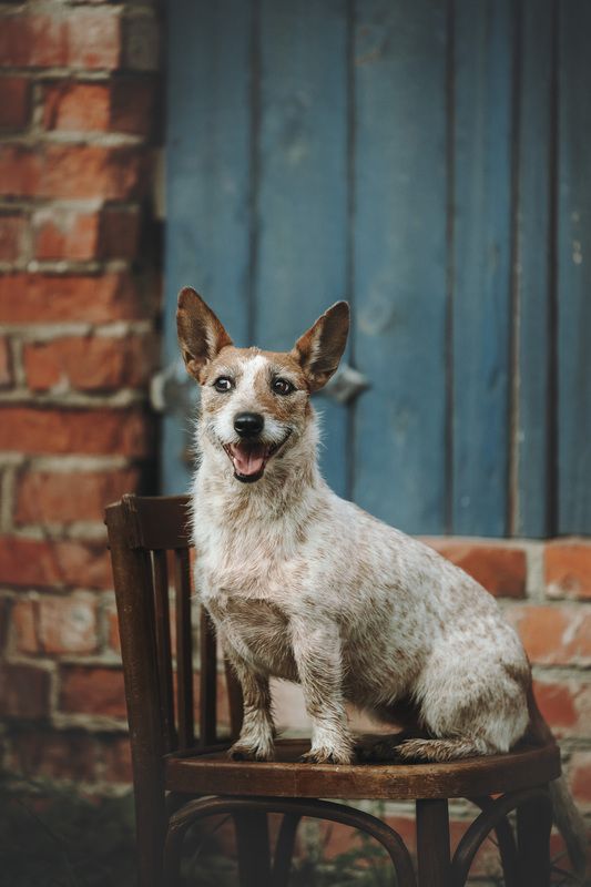 Хулиганка!photo preview