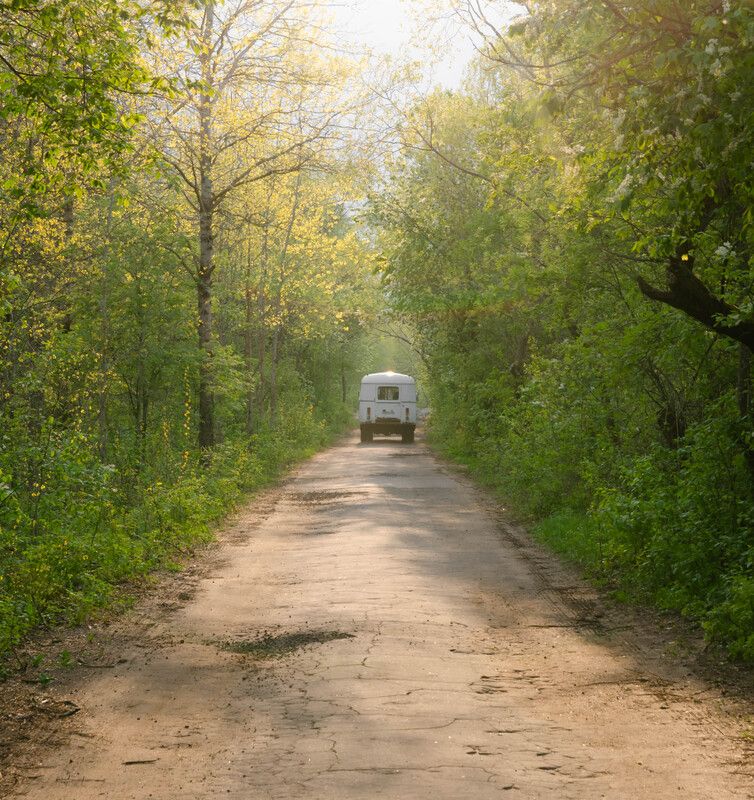 солнце, лучи, пейзаж, лес, дорога, деревья, автобус Дорога в лесуphoto preview