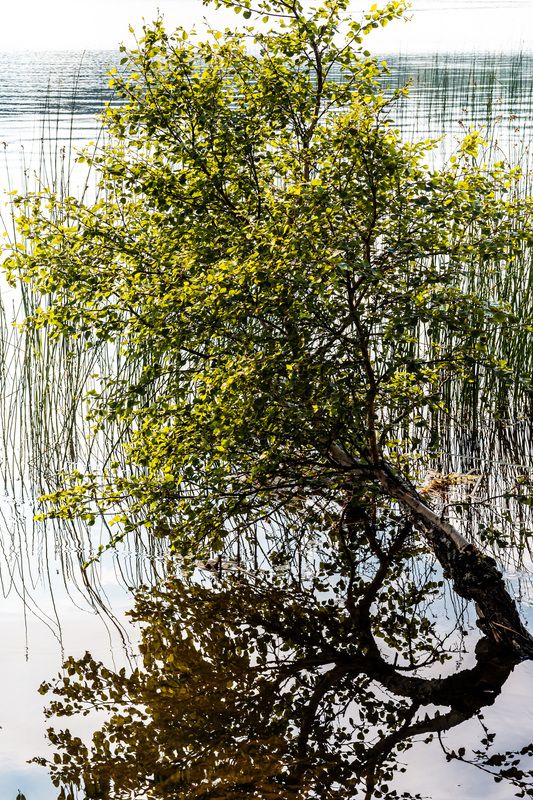 *******photo preview