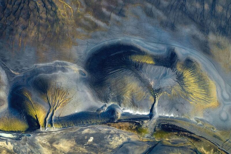 iceland, aerial, drone, dji, air2s, nature, tree, texture, abstract, scenic,  Tree of Life  фото превью