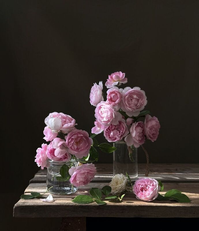 Розовая нежностьphoto preview