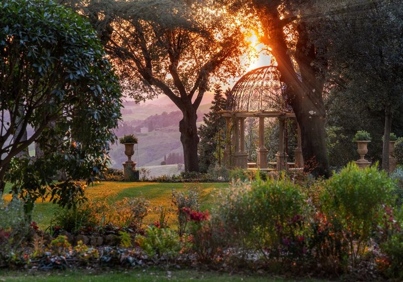 В лучах света...photo preview