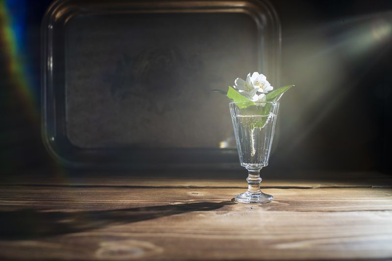 натюрморт, цветы, вазы, тень, стекло, жасмин Жасминphoto preview