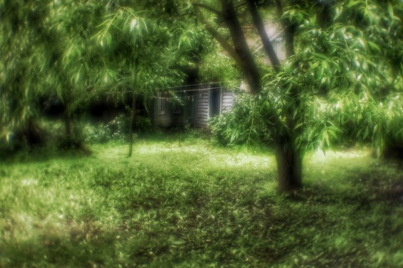 Монокль Светопись монокляphoto preview